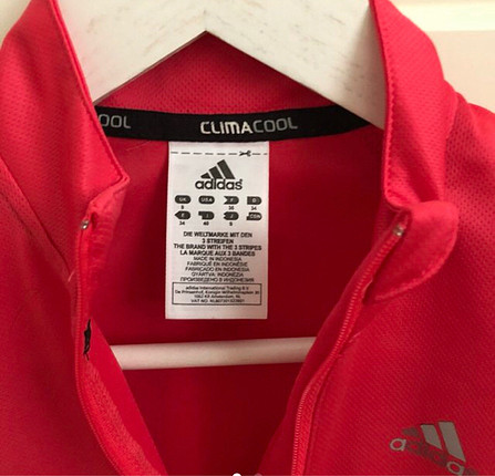 Adidas üst